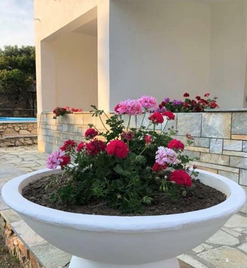 העיירה סקיאתוס Villa Spartias מראה חיצוני תמונה